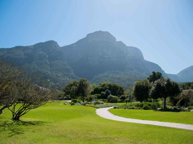 post_capetown_04 https://allabout.tours/wp-content/uploads/2018/08/post_capetown_04-640x480.jpg